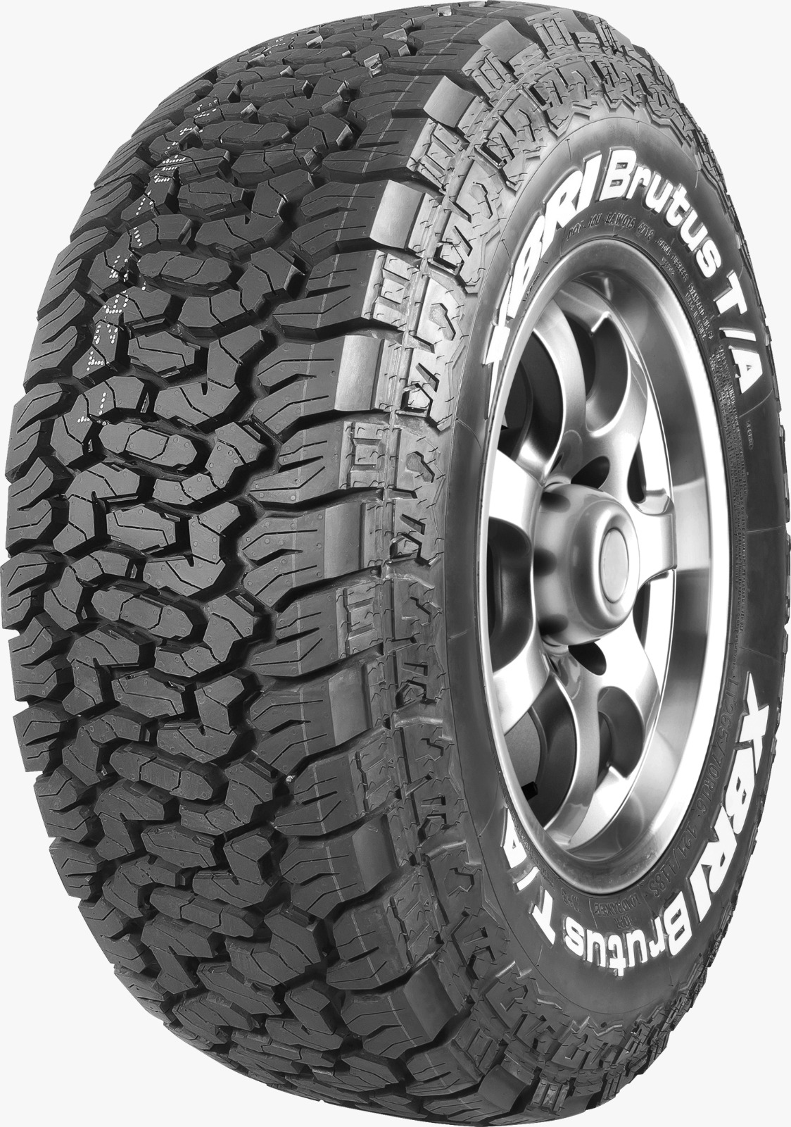 WhatsApp Image 2025-11-27 at 12.49.39 PM